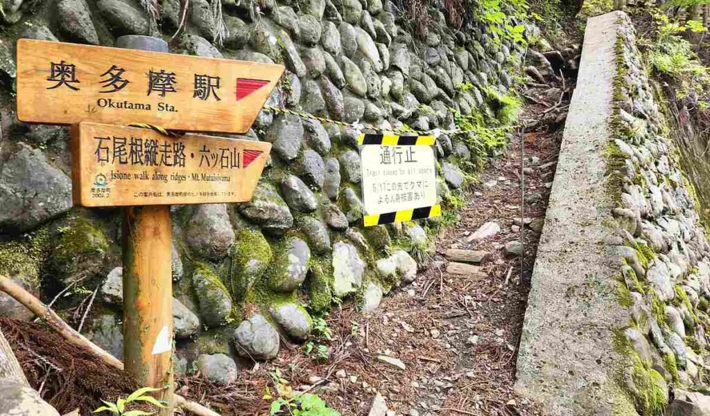 Tokyo government to work with start-ups to ward off bears; possible measures include AI detection system
