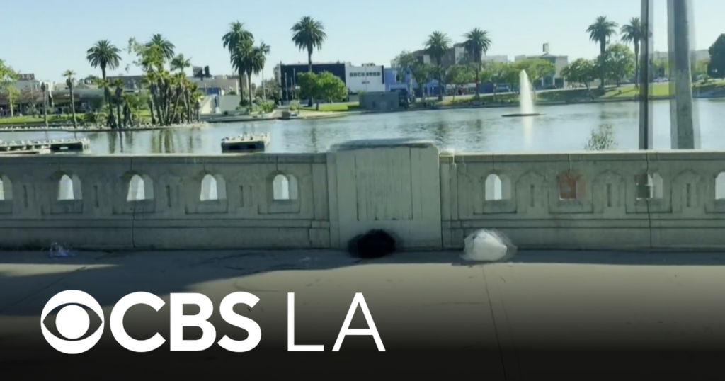 MacArthur Park residents, business owners discuss their day-to-day since DEA raid two weeks ago