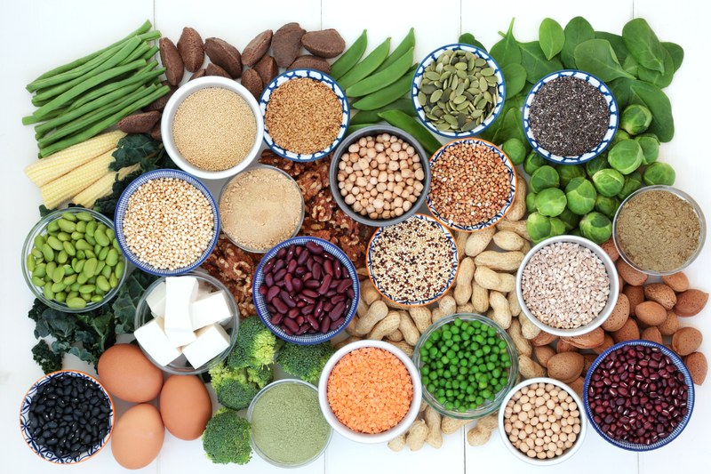 Diversifying Europe’s protein supply could cut emissions and reliance on imported feed