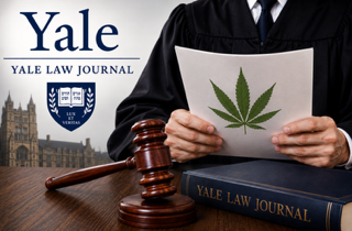 MMJ International: The Yale Law Journal Warned the Separation of Drug Scheduling Powers Was Collapsing-Now the D.C. Circuit Must Decide Whether It Did