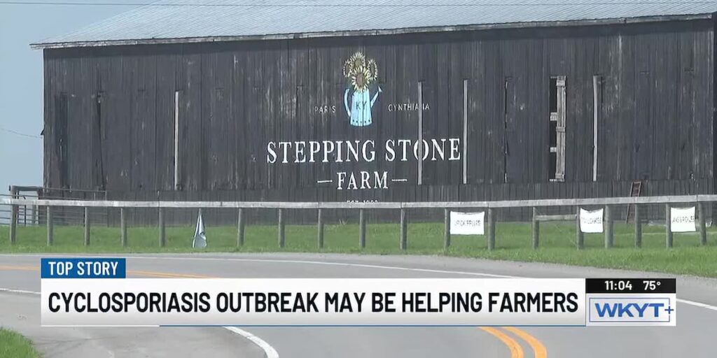 Paris farmer sees business boost amid Kentucky cyclosporasis outbreak