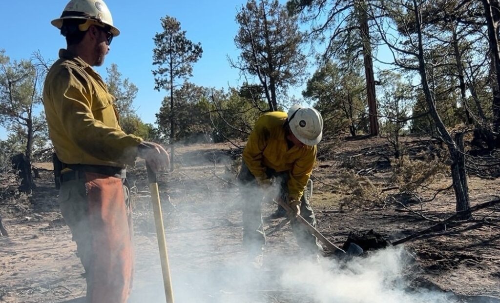 CMU Tech Student Documents Wildland Firefighting Internship Experience