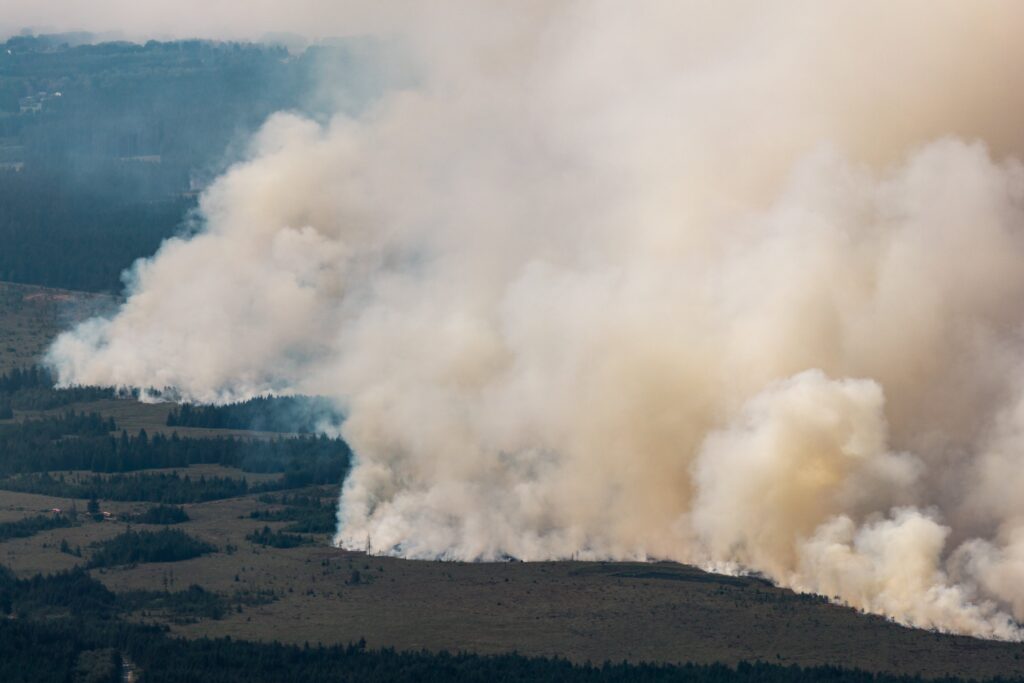 Belgium battles worst wildfire on record, EU allies come to aid