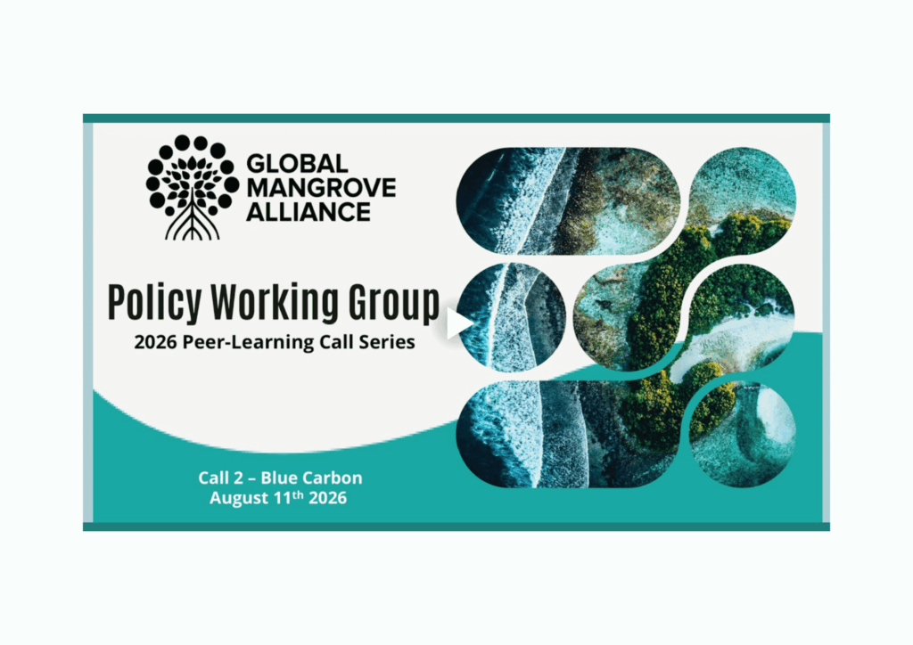 Exchanges on blue carbon by the Global Mangrove Alliance Policy Working Group