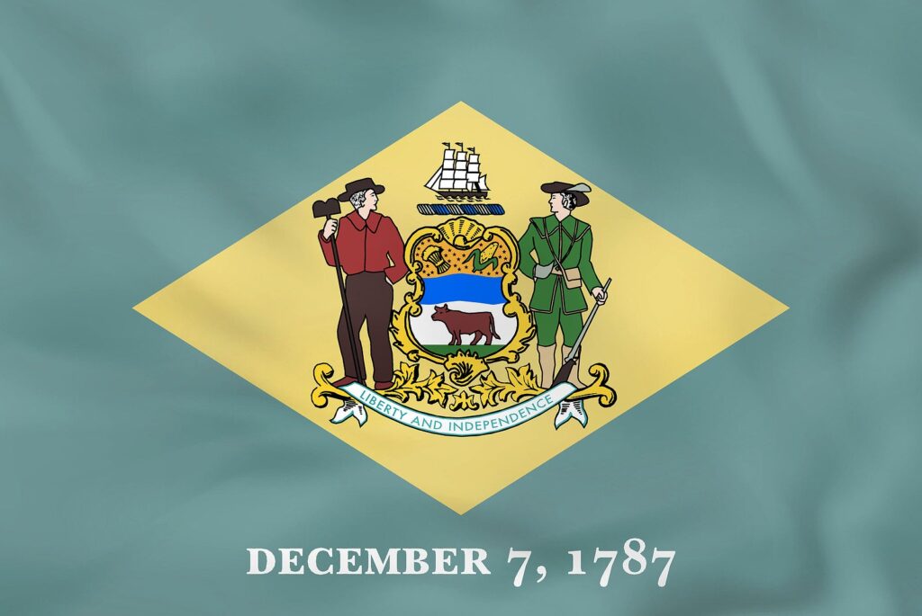 Delaware Supreme Court Interprets State Securities Laws