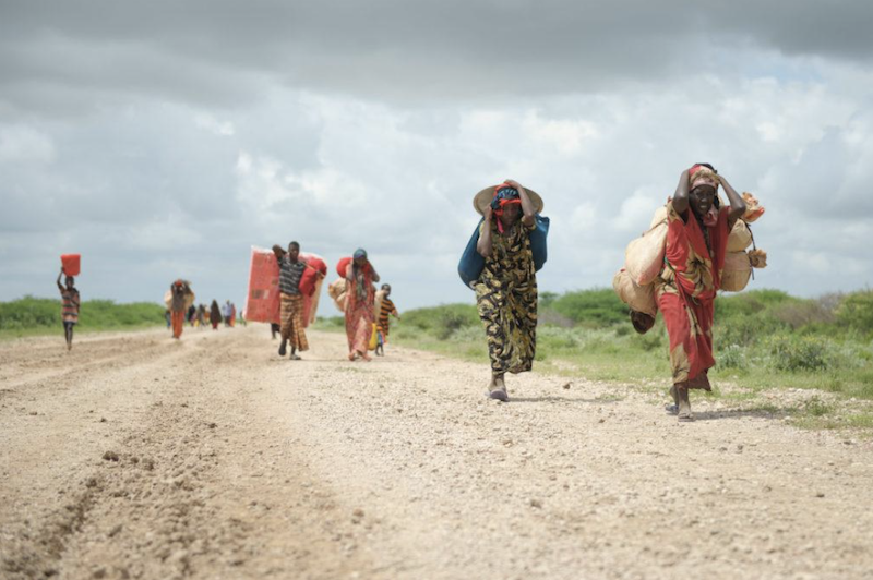 UN Agencies Report Uneven Progress in Reducing Global Hunger