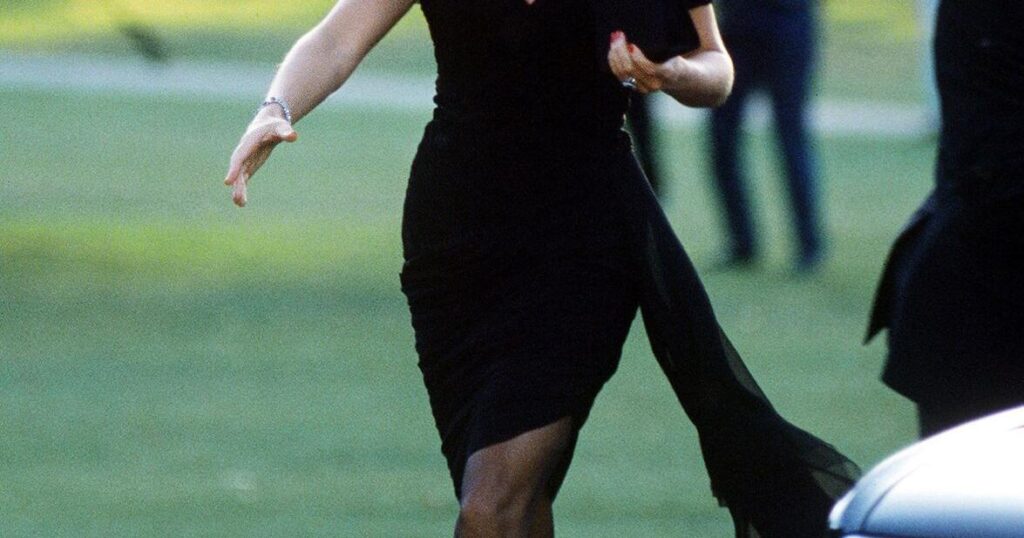 Princess Diana’s ‘revenge dress’ is going up for auction