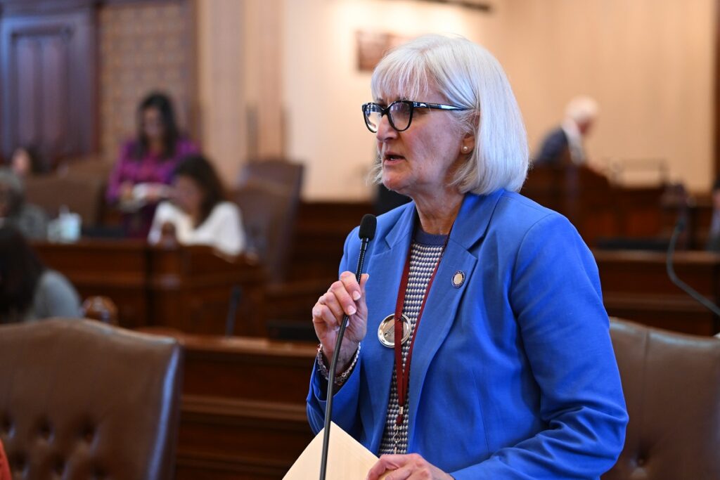 Q&A: Illinois’s Mary Edly-Allen, on passing AI safety law