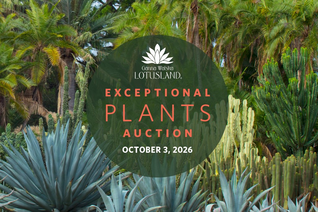 Lotusland’s Exceptional Plants Auction a Botanic Bonanza