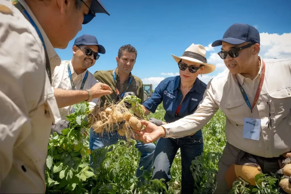 PepsiCo Assembles Global Potato Expertise in Germany