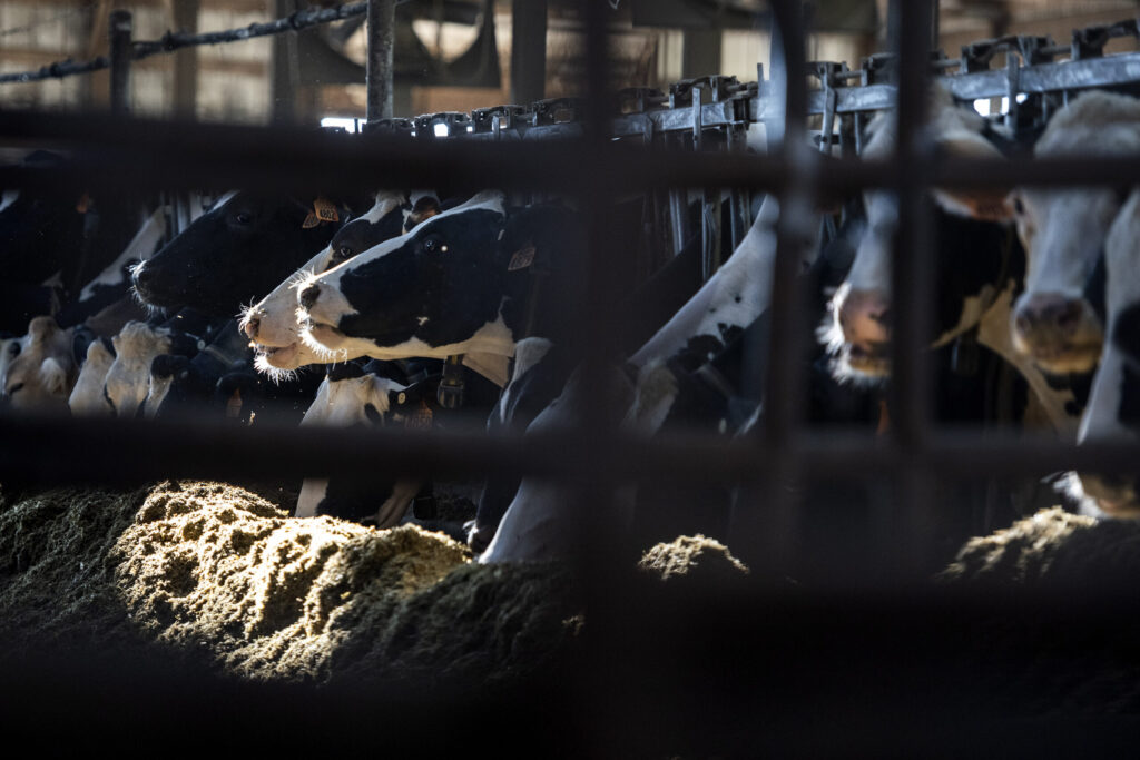 As the U.S. and Canada slap new tariffs on goods, American farmers are stuck in the middle