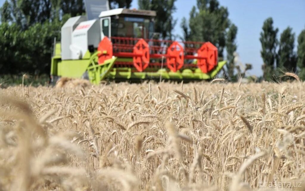 EAEU Pushes Agricultural Integration Amid Global Food Security Risks