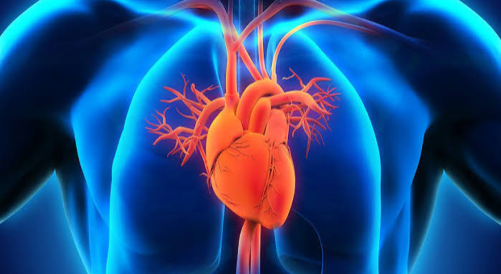 Young Hearts Are At Risk Due To Lifestyle Errors And Negligence