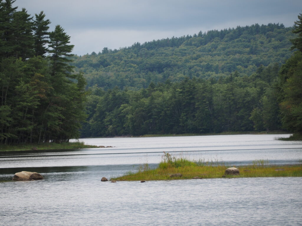 Cyber threats an immense and global challenge for NH’s water suppliers