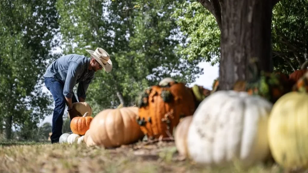 165 years at Osborn Farm: 7 generations behind Loveland pumpkin patch