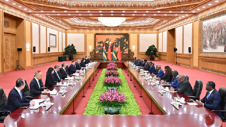 Xi proposes principles for constructive participation in settling Africa’s hotspot issues